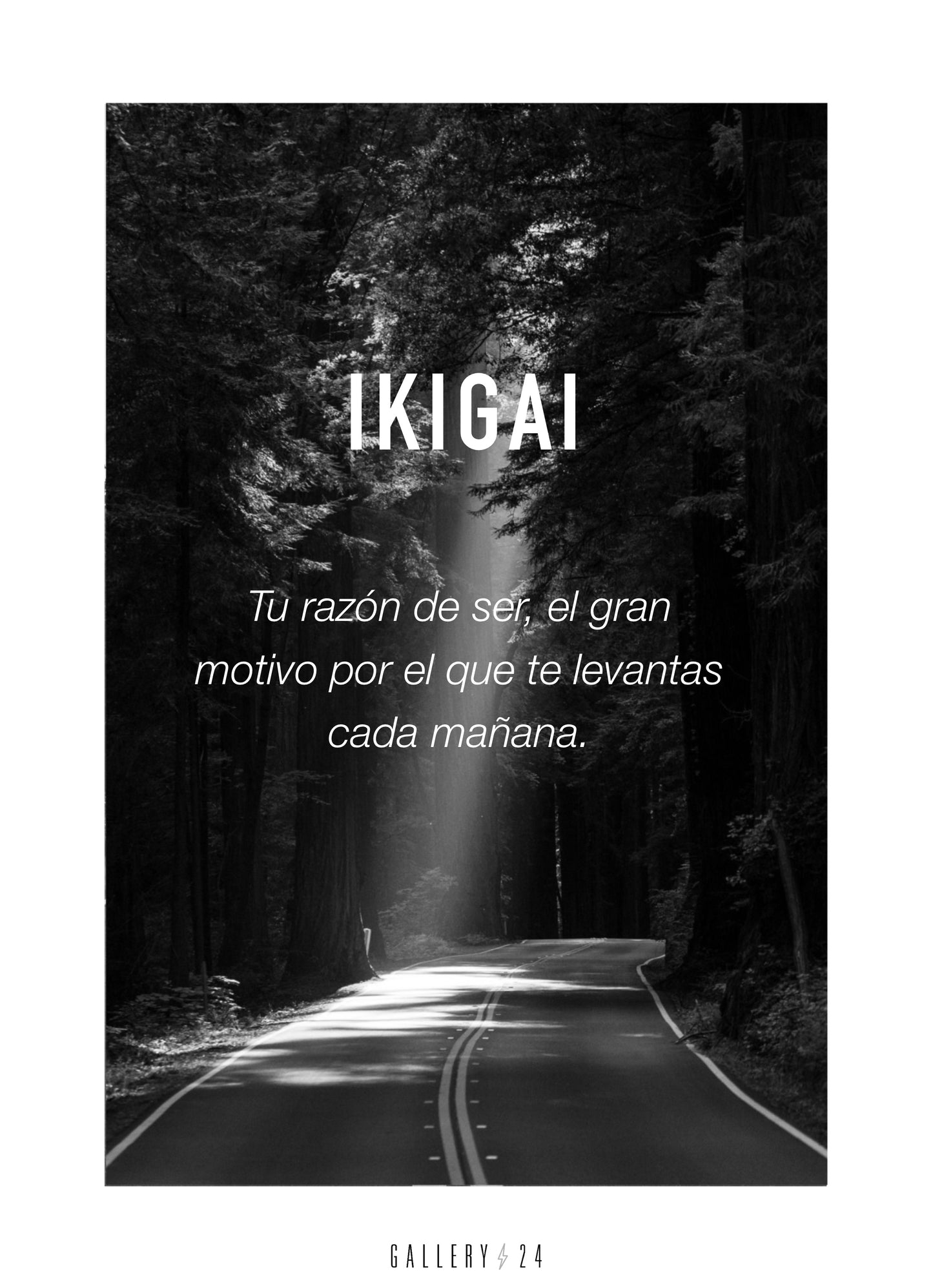 Cuadro Ikigai